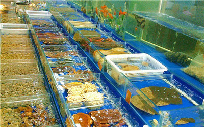 水產(chǎn)品與水產(chǎn)商行 市場(chǎng)現(xiàn)狀與發(fā)展前景