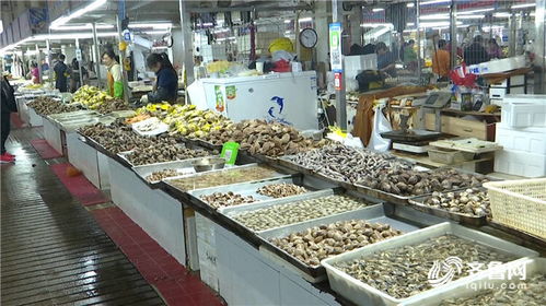 休漁期島城水產(chǎn)品供應(yīng)不斷檔 市民餐桌不受影響
