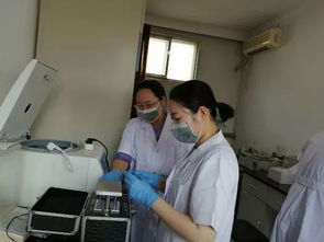 檢測(cè)水產(chǎn)品 確保魚安全——區(qū)水產(chǎn)技術(shù)推廣站開展水產(chǎn)品質(zhì)量安全檢測(cè)工作