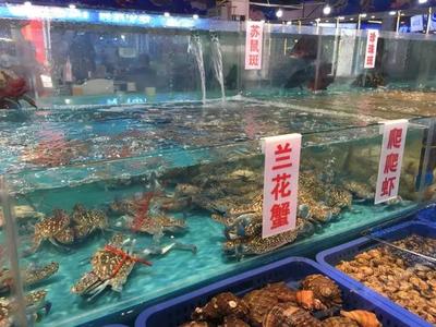 重慶新開海鮮市場的消費體驗與理性消費思考