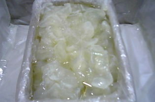 大連特產 爽脆鮮美的腌制海蜇頭，盡顯海洋饋贈的魅力