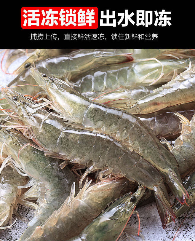 鮮活海蝦選購指南 從基圍蝦到鹽凍大蝦，探秘天貓水產的鮮美世界